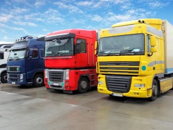 İstanbul Tut Nakliye